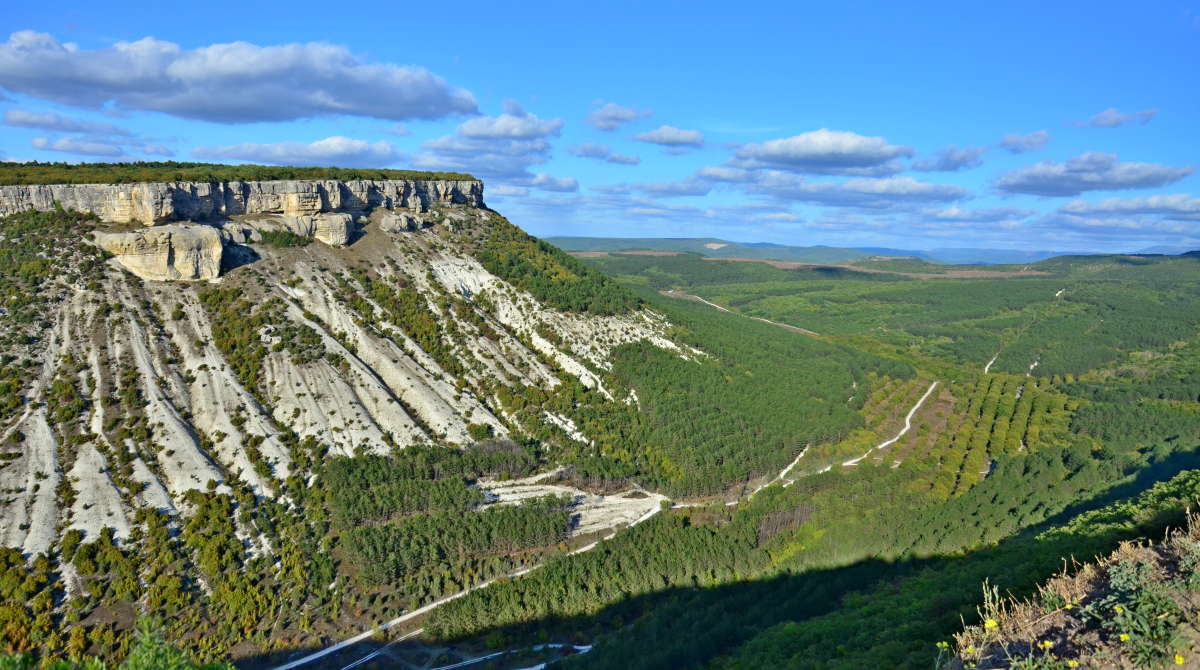 ���-���  ���� ����� ����  �� PhotoGeek.ru #������ ��� �������