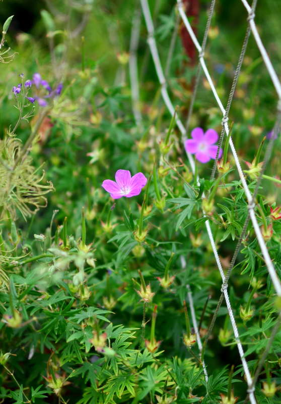 *** ����� ����  �� PhotoGeek.ru #������ ��� ������� #����� �������������� #���������