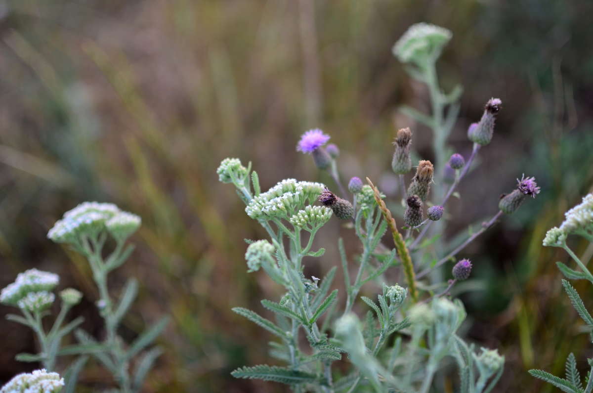 *** ����� ����  �� PhotoGeek.ru #����� #������ ��� ������� #����� ��������������