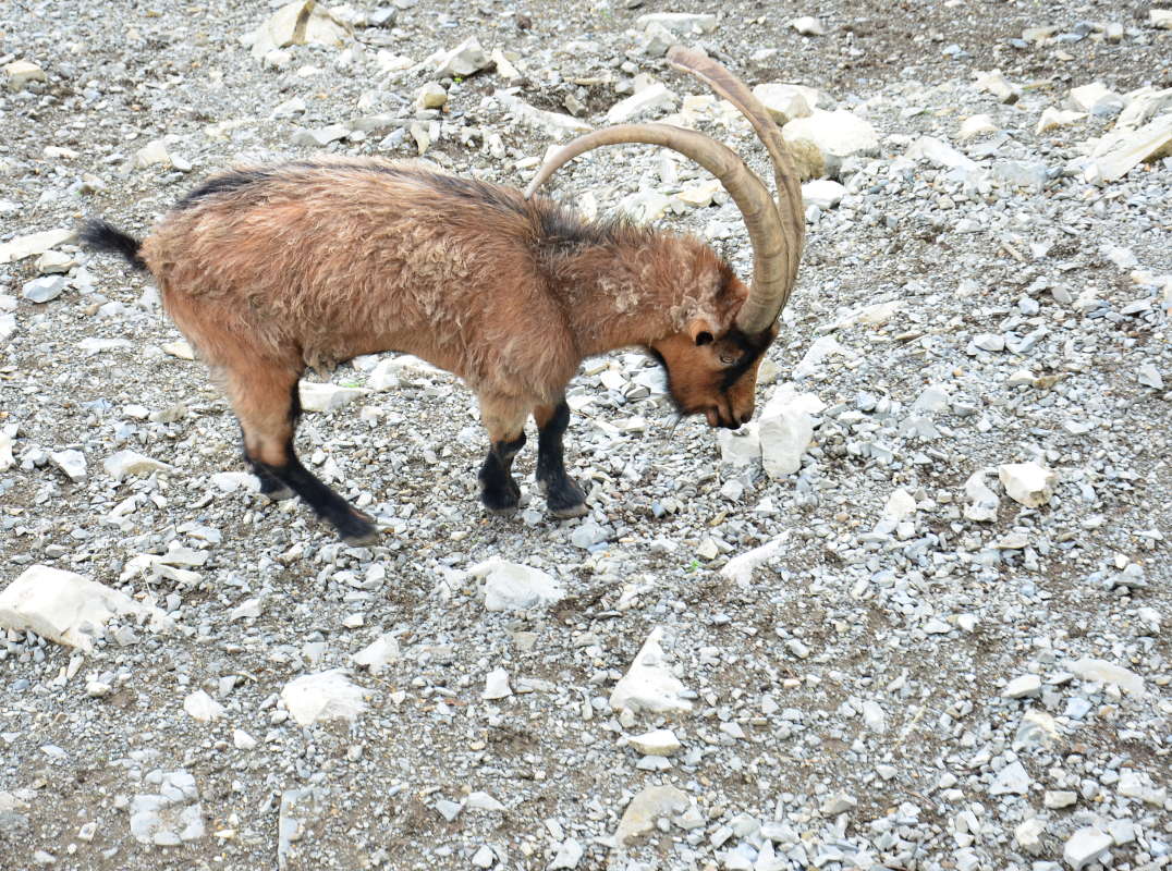 ������� ������ ����� ����  �� PhotoGeek.ru #�������� ��� #����� ��� ��� ���������