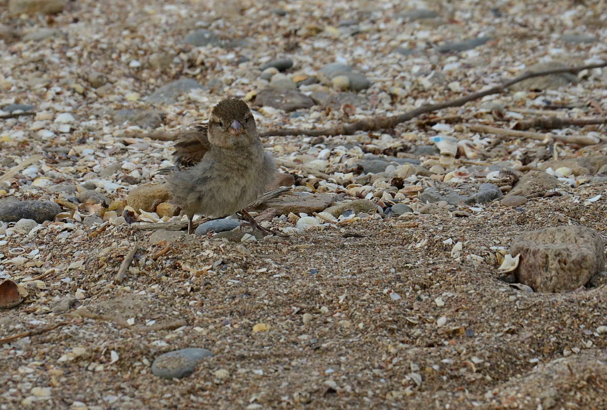 ���������� ����� ����  �� PhotoGeek.ru #�������� ��� #����� ��� ��� ���������