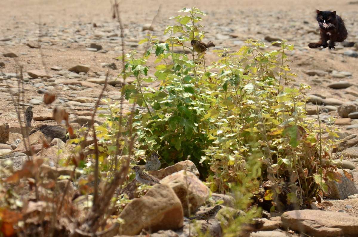 � ������ ������� ������ ����� ����  �� PhotoGeek.ru #�������� #������