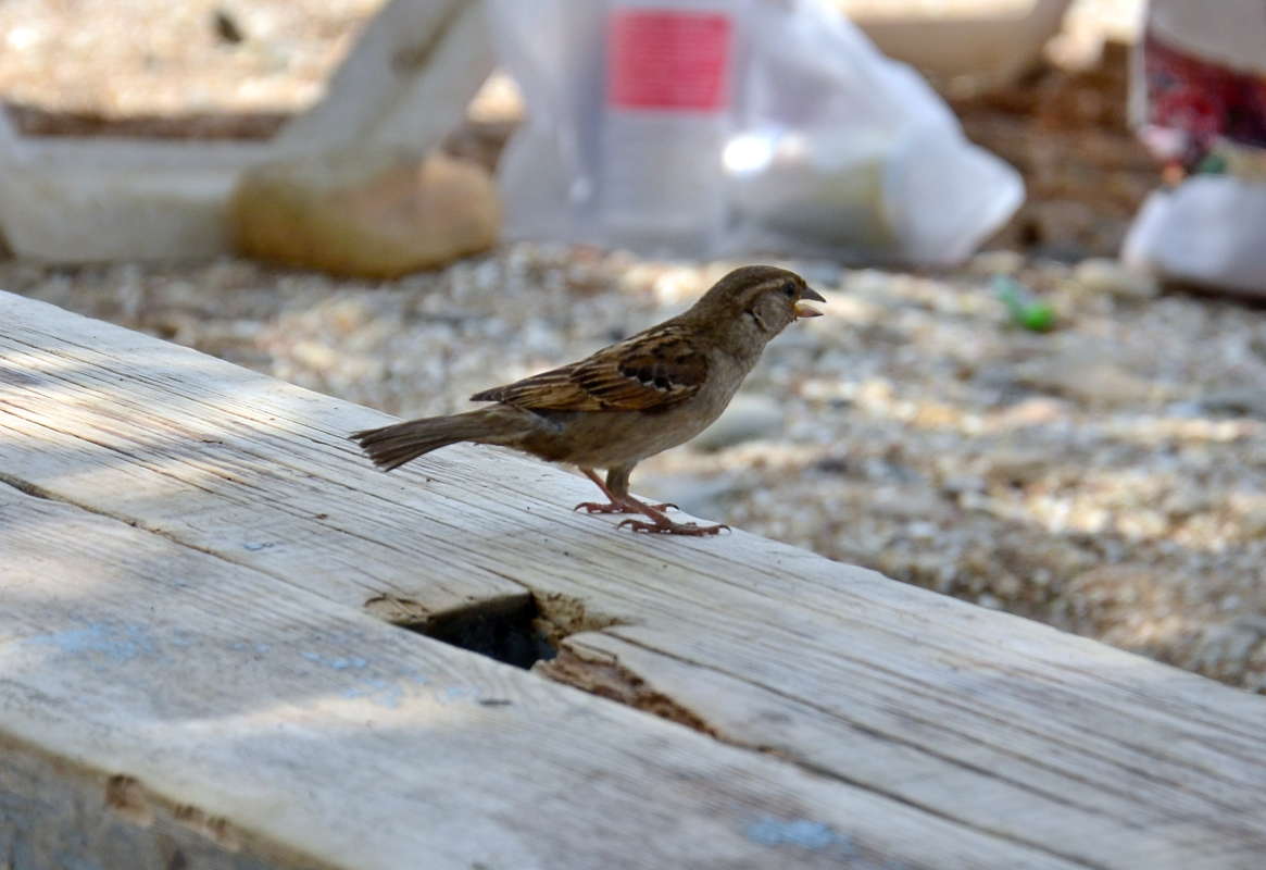 ����� +36 �������� ����� ����  �� PhotoGeek.ru #�������� ��� #����� ��� ��� ���������