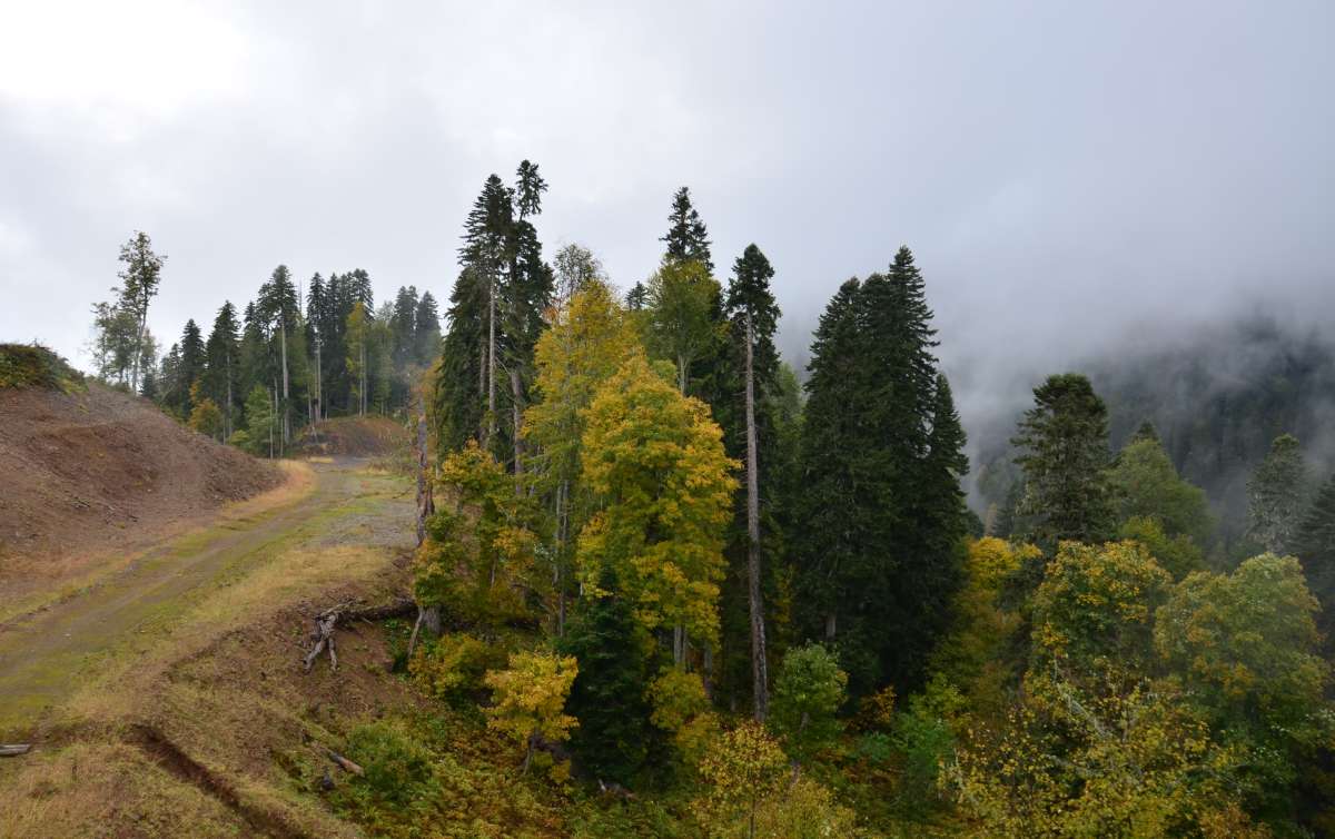 ����� � ����� ����� ����  �� PhotoGeek.ru #������ ��� �������