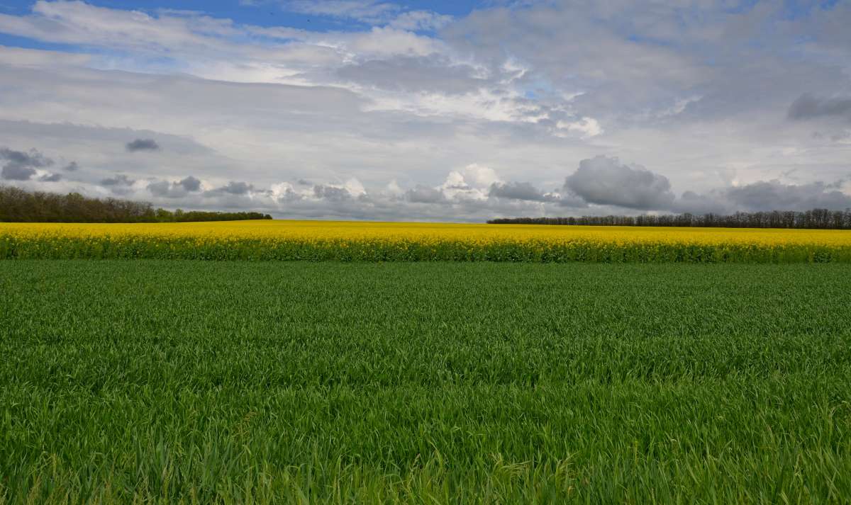 *** ����� ����  �� PhotoGeek.ru #������ ��� �������