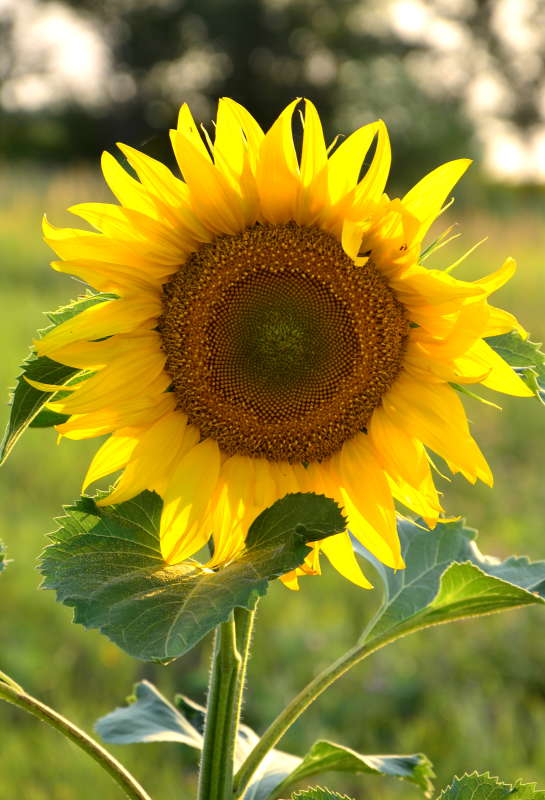 *** ����� ����  �� PhotoGeek.ru #������ ��� ������� #����� �������������� #���������