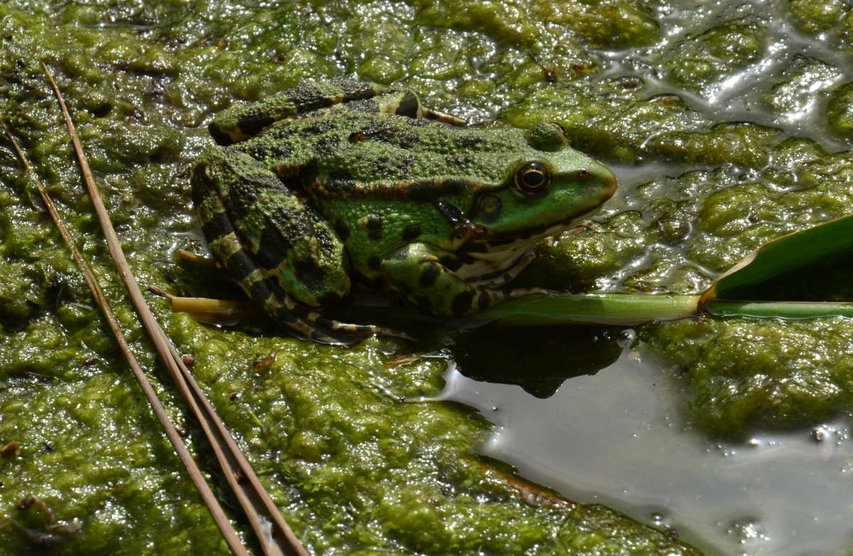 � �������� ����� �������� ����� ����  �� PhotoGeek.ru #�������� ��� #����� ��� ��� ���������