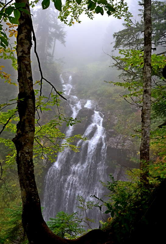 ������ ��������� ���������� ����� ����  �� PhotoGeek.ru #������ ��� ������� #���������