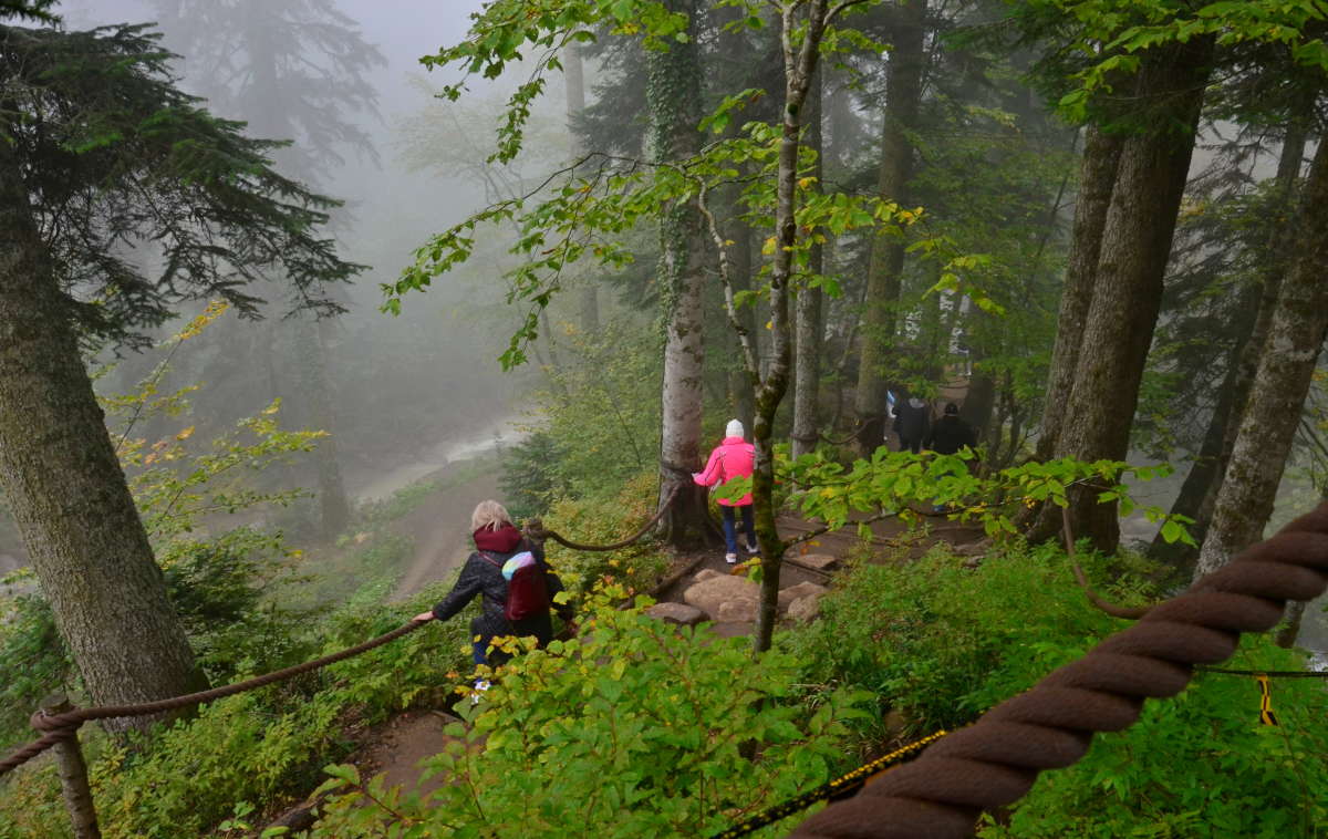 �� �������� ������� "���������" ����� ����  �� PhotoGeek.ru #������ ��� ������� #���������