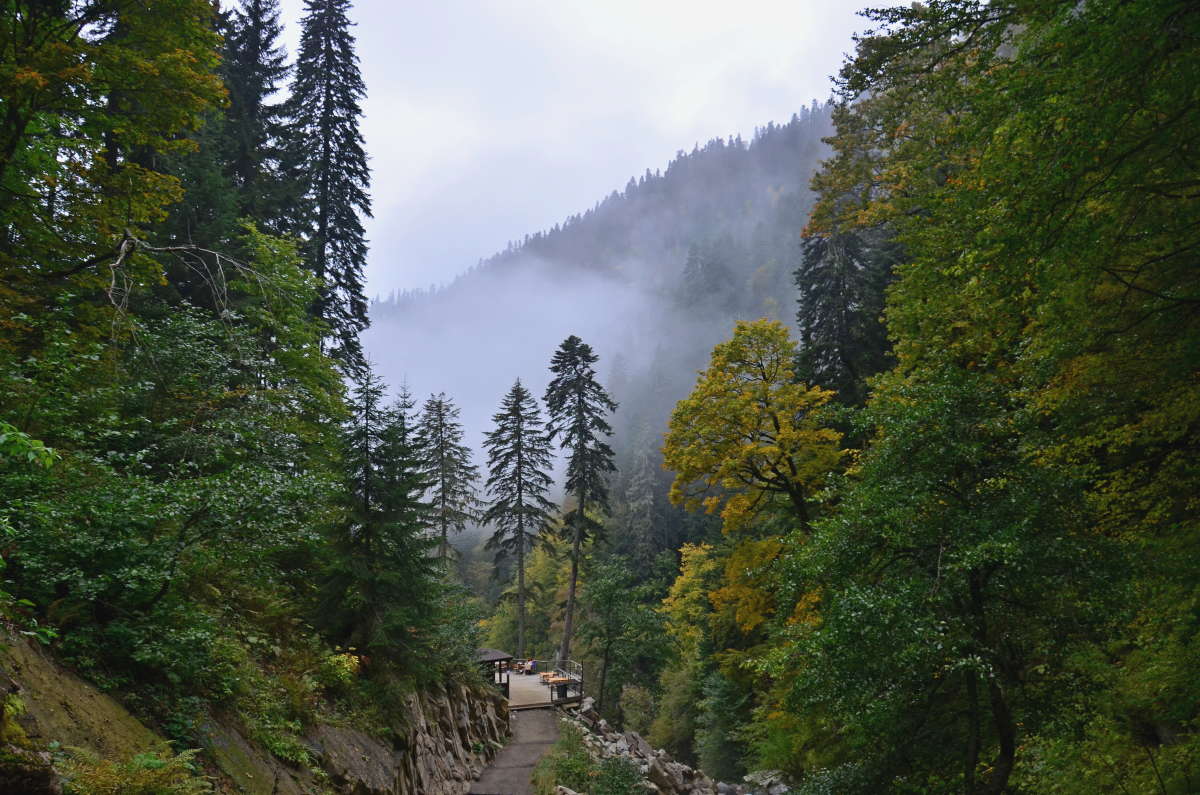 *** ����� ����  �� PhotoGeek.ru #������ ��� ������� #���������