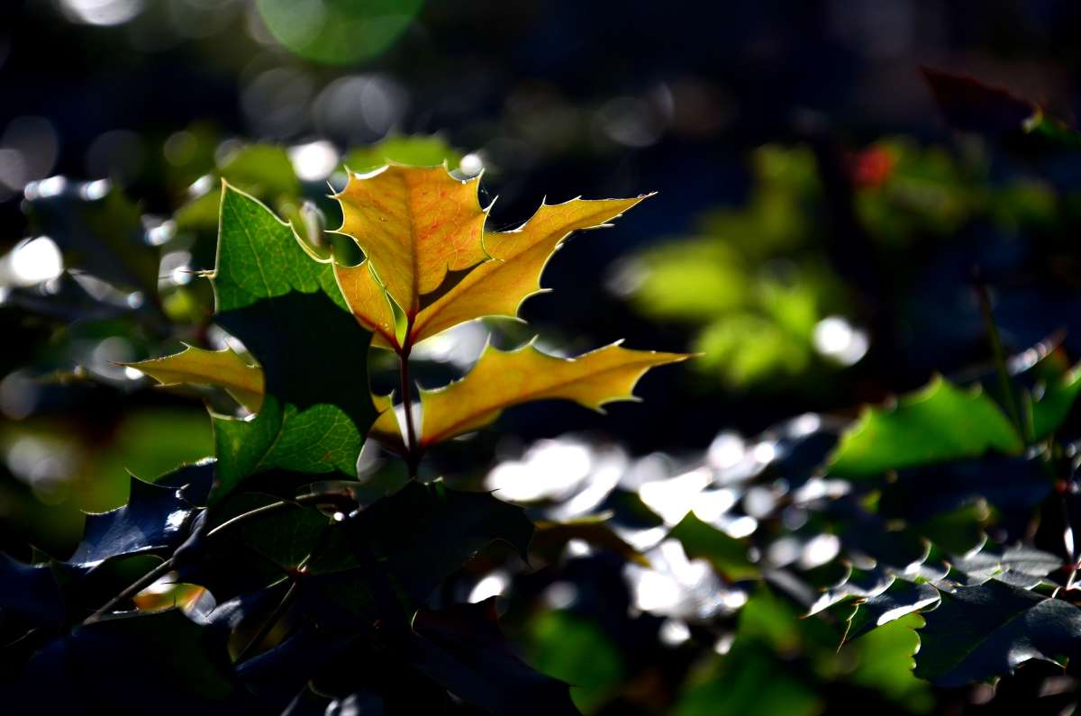 ������������� ��������� ����� ����  �� PhotoGeek.ru #������ ��� ������� #����� �������������� #���������