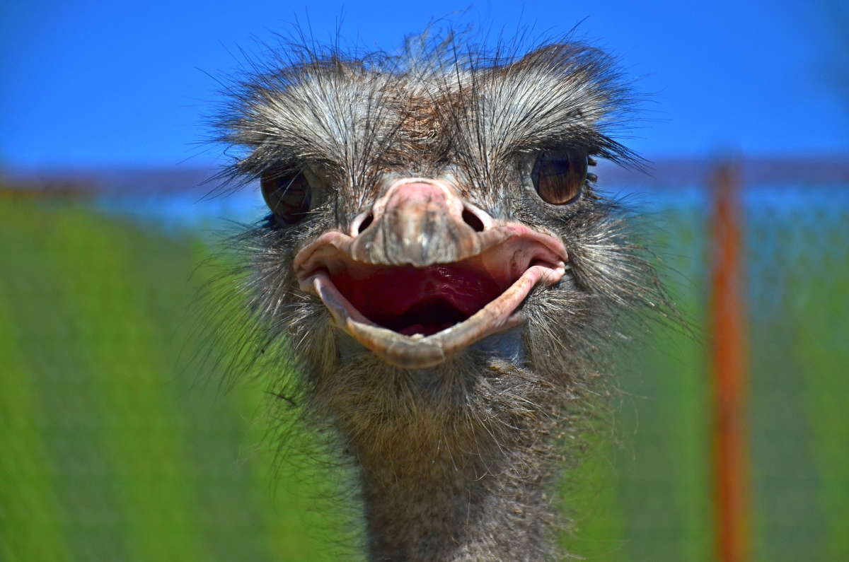 ��� ���������� ����� ����  �� PhotoGeek.ru #�������� ��� #����� ��� ��� ��������� #�������� ���