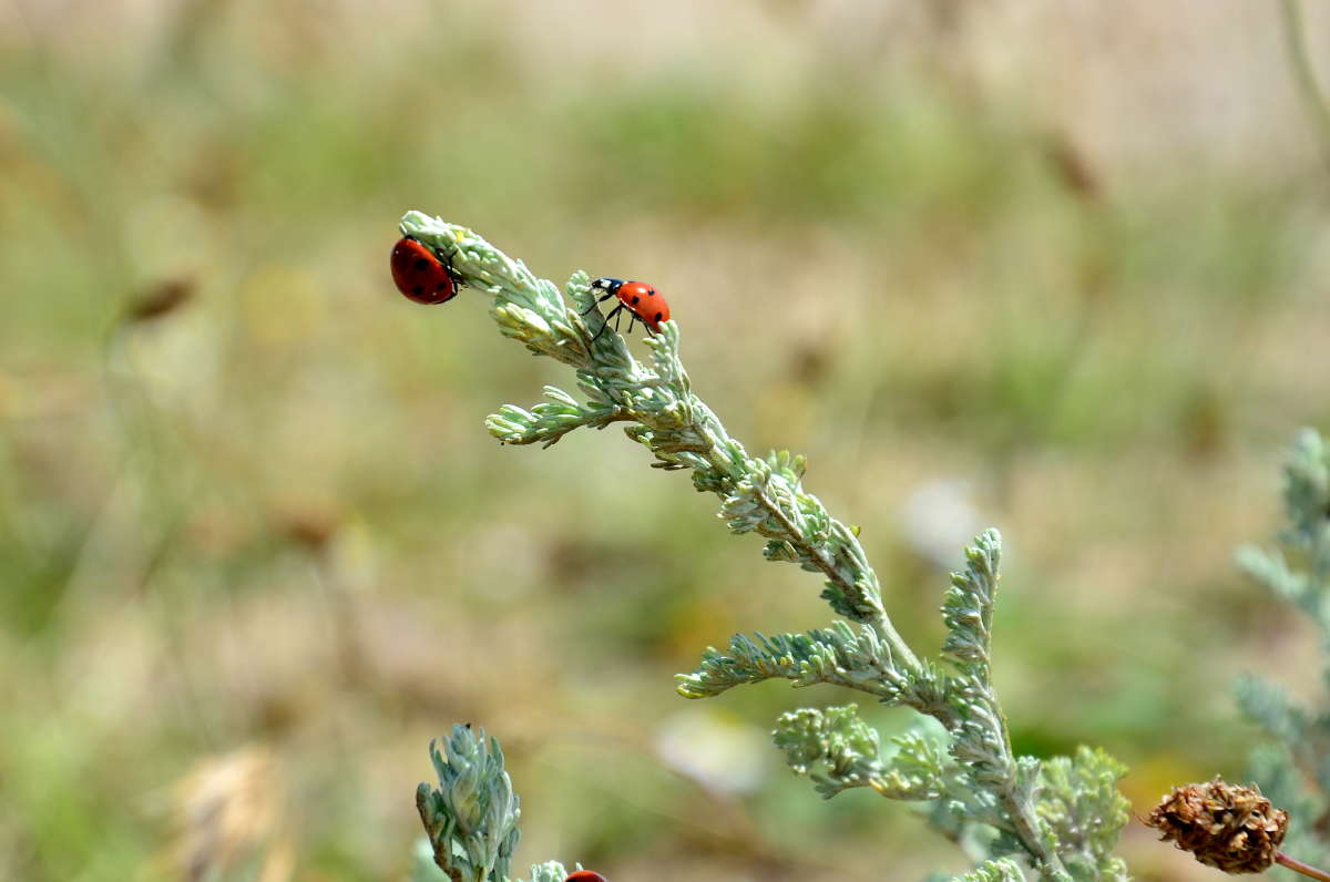 �� ����� ��������� ����� ����  �� PhotoGeek.ru #����� #�������� ��� #���������