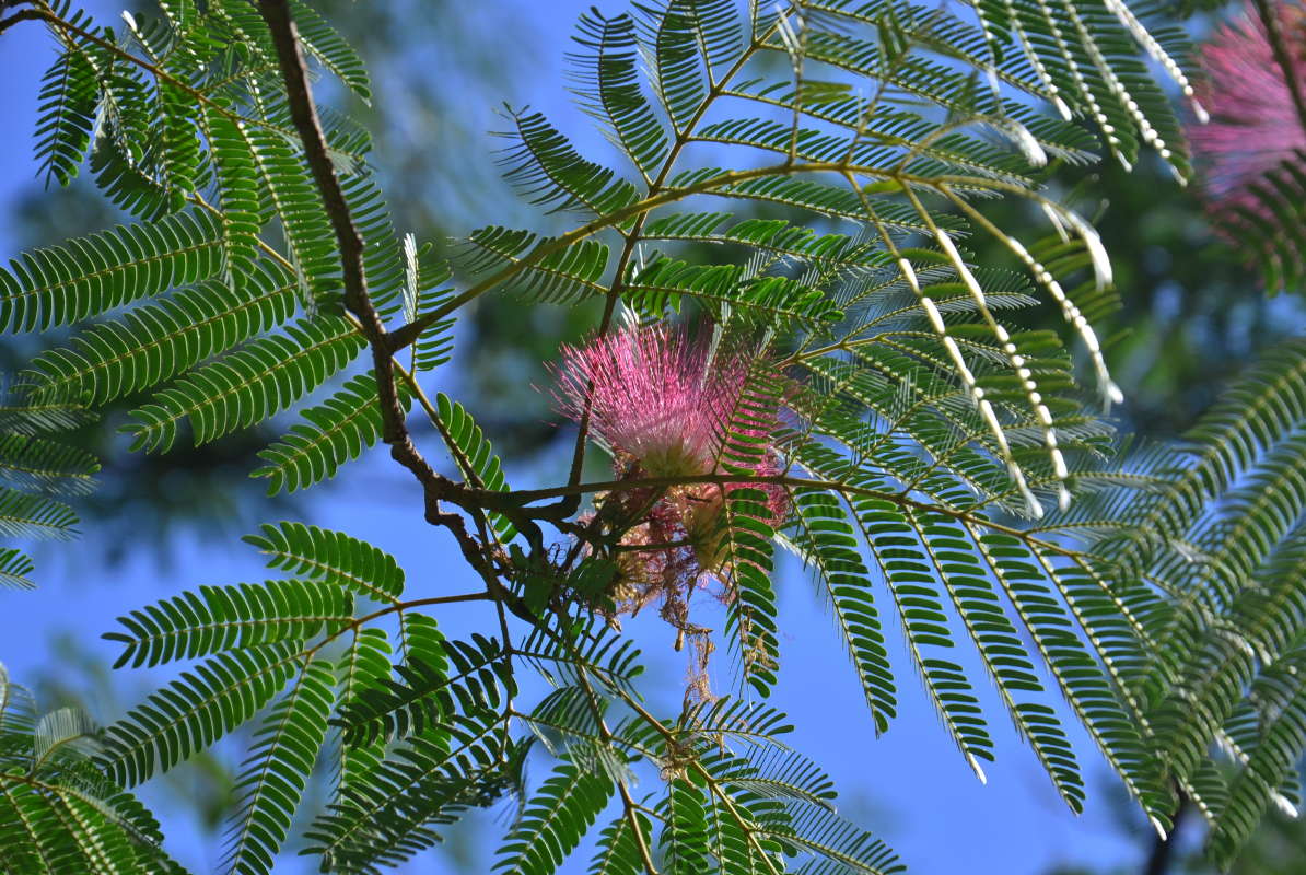 �������� ����� ����� ����  �� PhotoGeek.ru #������ #����� #������ ��� ������� #�������� #����� ��������������