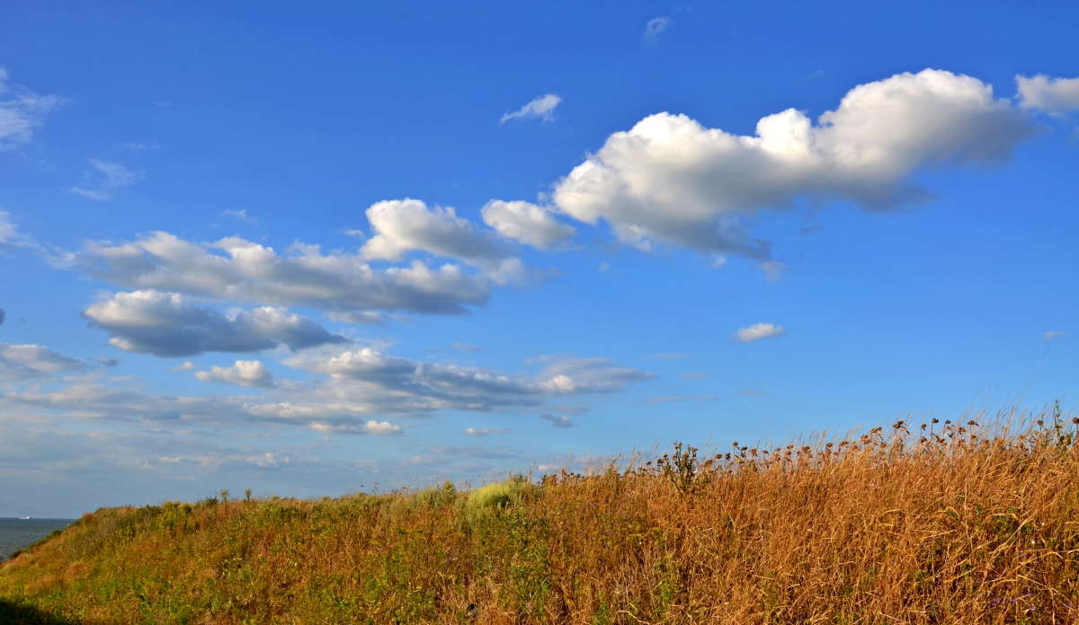 *** ����� ����  �� PhotoGeek.ru #������ ��� �������