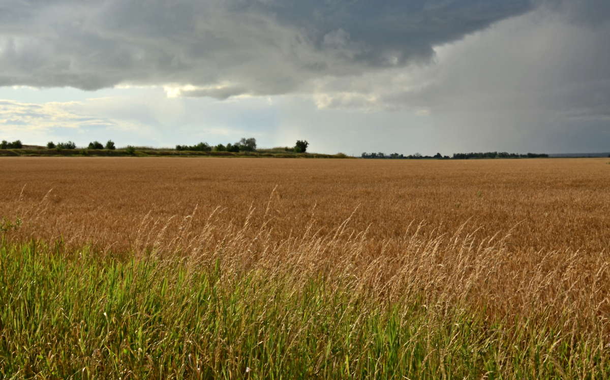 ��� ������ �������� ����� ����  �� PhotoGeek.ru #������ ��� �������