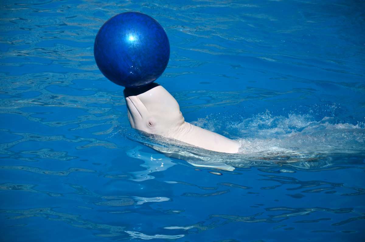 �� ������� ������� ����� ����  �� PhotoGeek.ru #������ #�������� ��� #����� ��� ��� ��������� #�������� ���