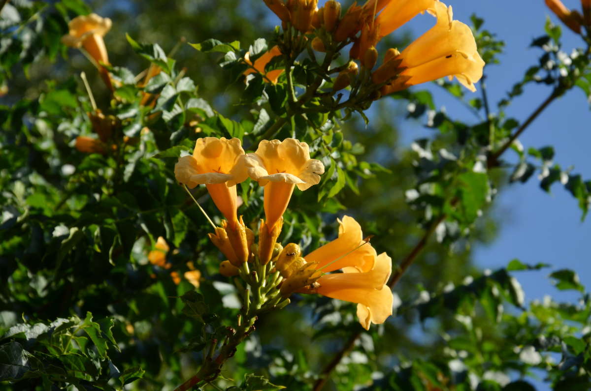 *** ����� ����  �� PhotoGeek.ru #������ ��� ������� #����� �������������� #���������