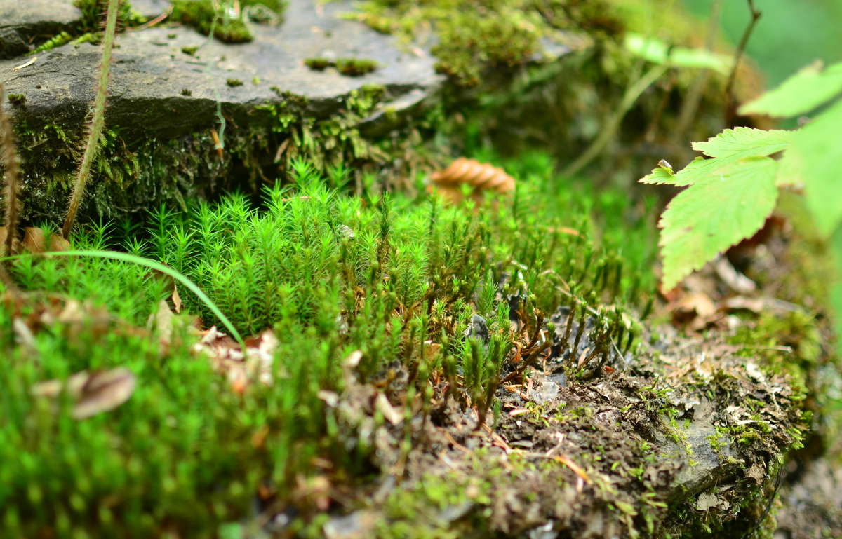 �� ������ ������ ����� ����  �� PhotoGeek.ru #������ ��� ������� #����� �������������� #���������