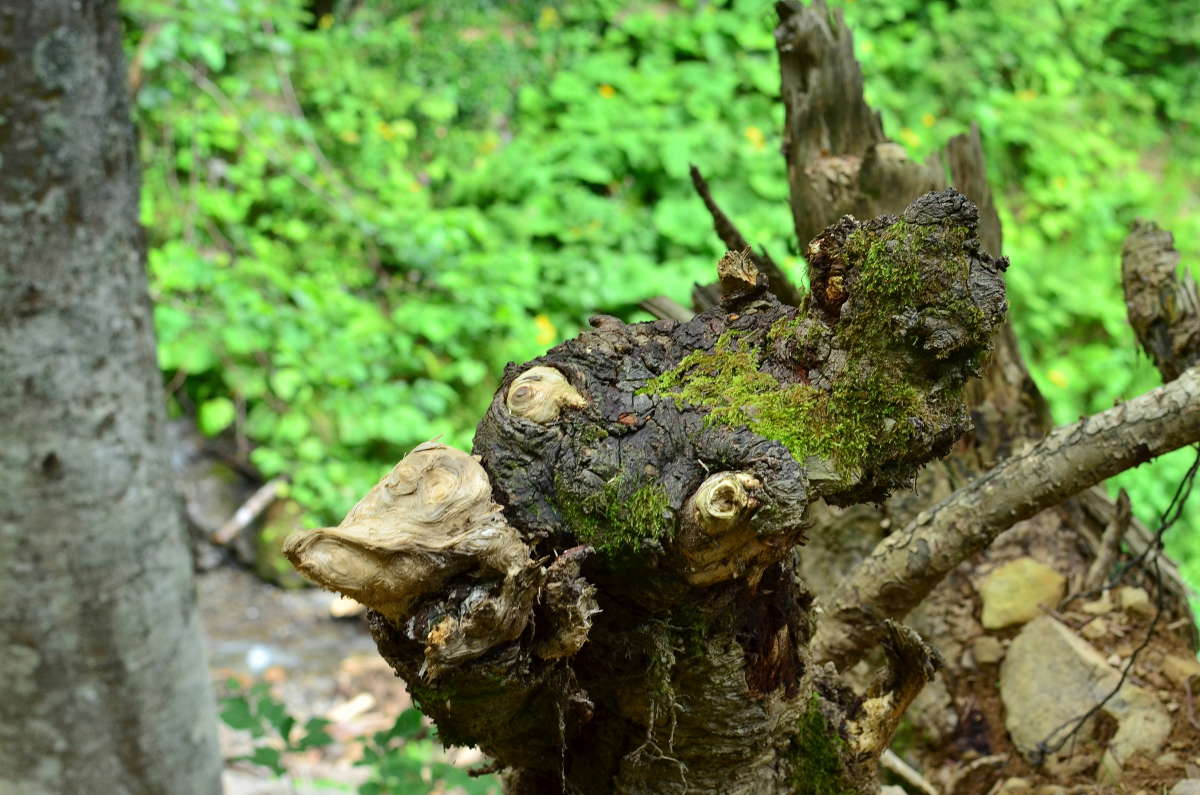 ������ � ����� ����� ����  �� PhotoGeek.ru #������ ��� ������� #����� �������������� #���������