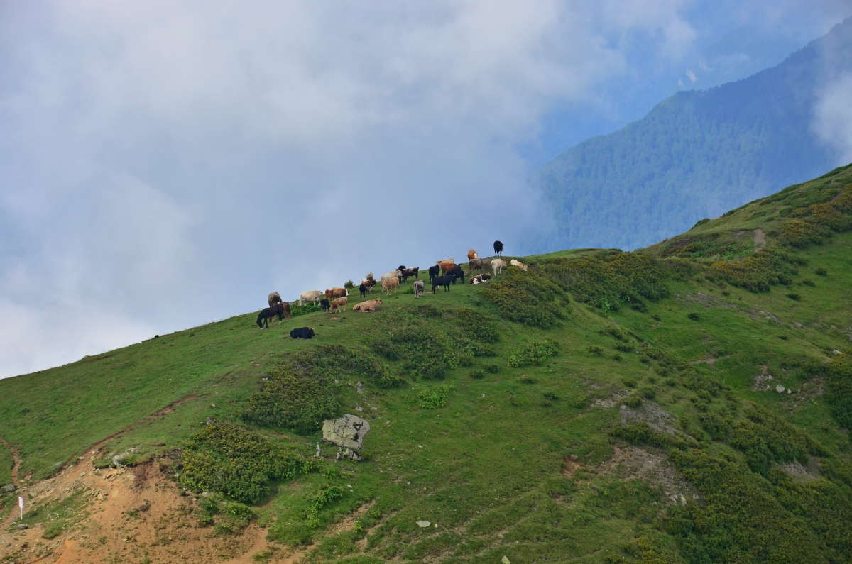 ������� ������� �� ������� ����� ����  �� PhotoGeek.ru #�������� ��� #������ ��� ������� #�������� ����������