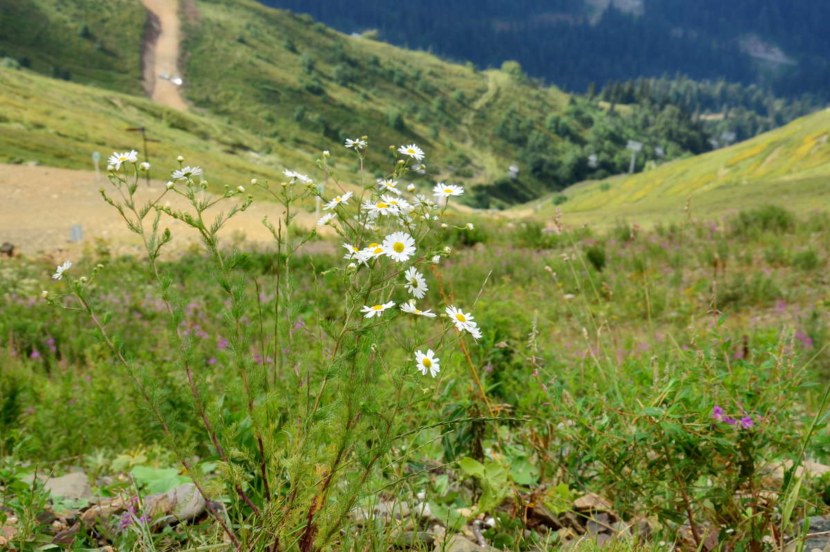 ����� ��������� ����� ����  �� PhotoGeek.ru #������ ��� ������� #����� �������������� #���������