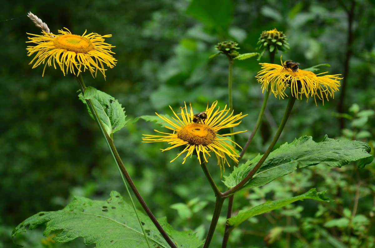 *** ����� ����  �� PhotoGeek.ru #������ ��� ������� #����� �������������� #��������� #���������