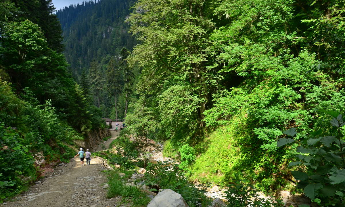 �� ���� � ��������� ����� ����  �� PhotoGeek.ru #������ ��� �������