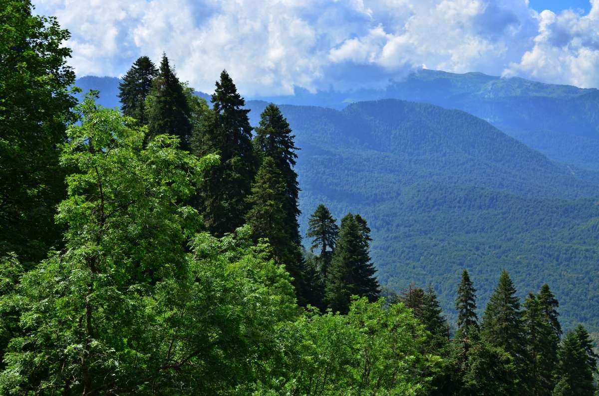 *** ����� ����  �� PhotoGeek.ru #������ ��� �������