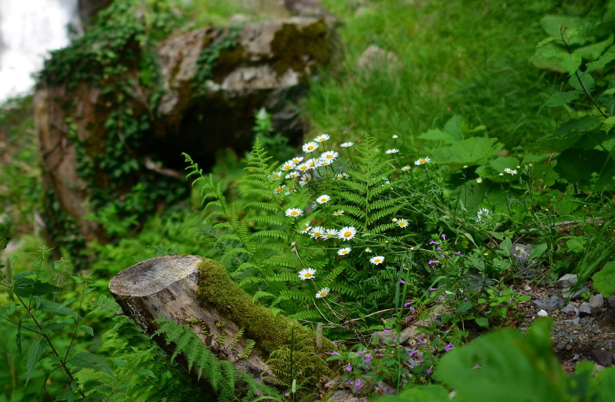 *** ����� ����  �� PhotoGeek.ru #������ ��� ������� #����� �������������� #���������