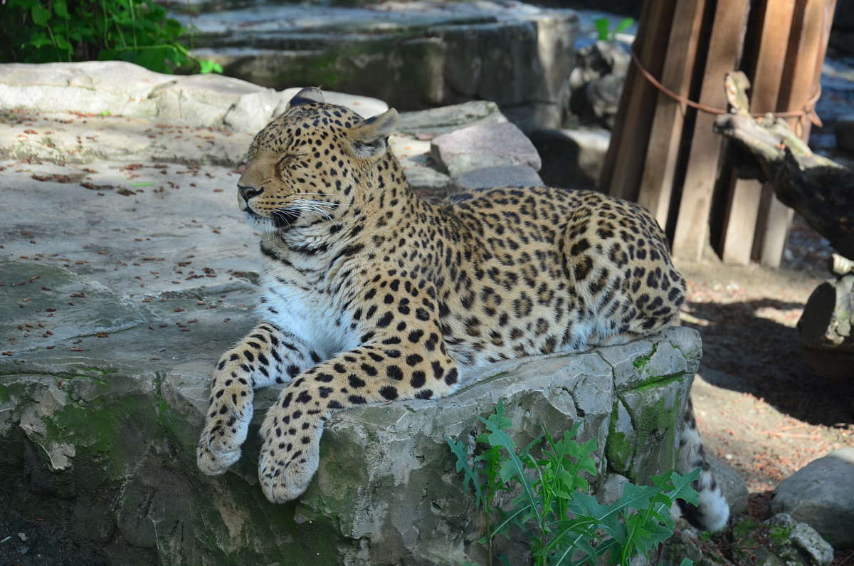 ����� ����� ����� ����  �� PhotoGeek.ru #�������� ��� #����� ��� ��� ��������� #�������� ���