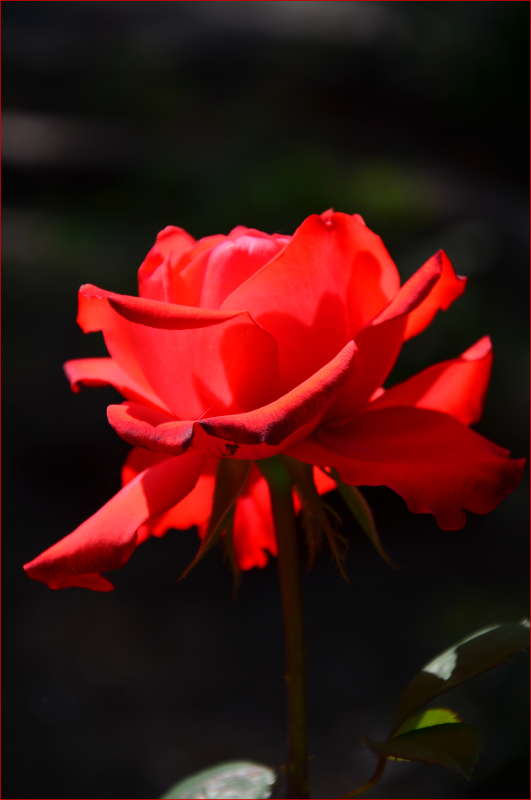 *** ����� ����  �� PhotoGeek.ru #������ #������ ��� ������� #����� �������������� #���������