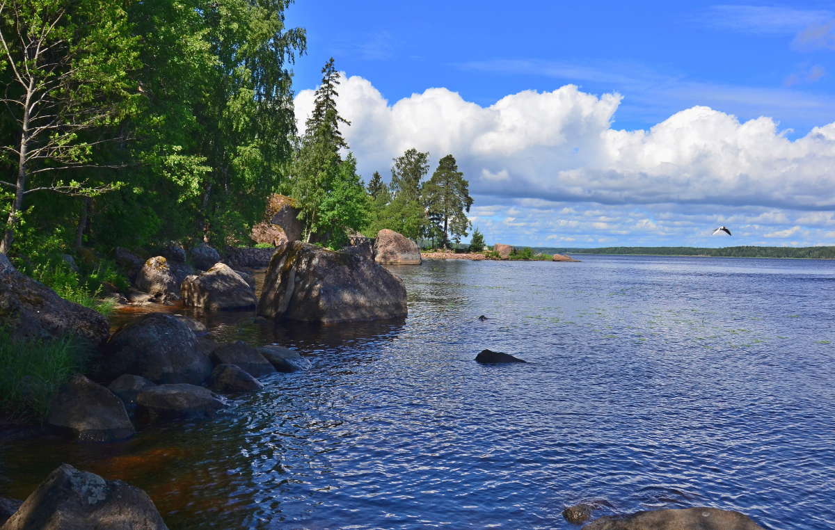 *** ����� ����  �� PhotoGeek.ru #������ ��� �������