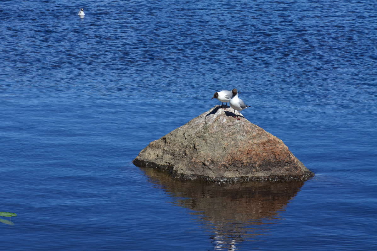 *** ����� ����  �� PhotoGeek.ru #�������� ��� #����� ��� ��� ���������