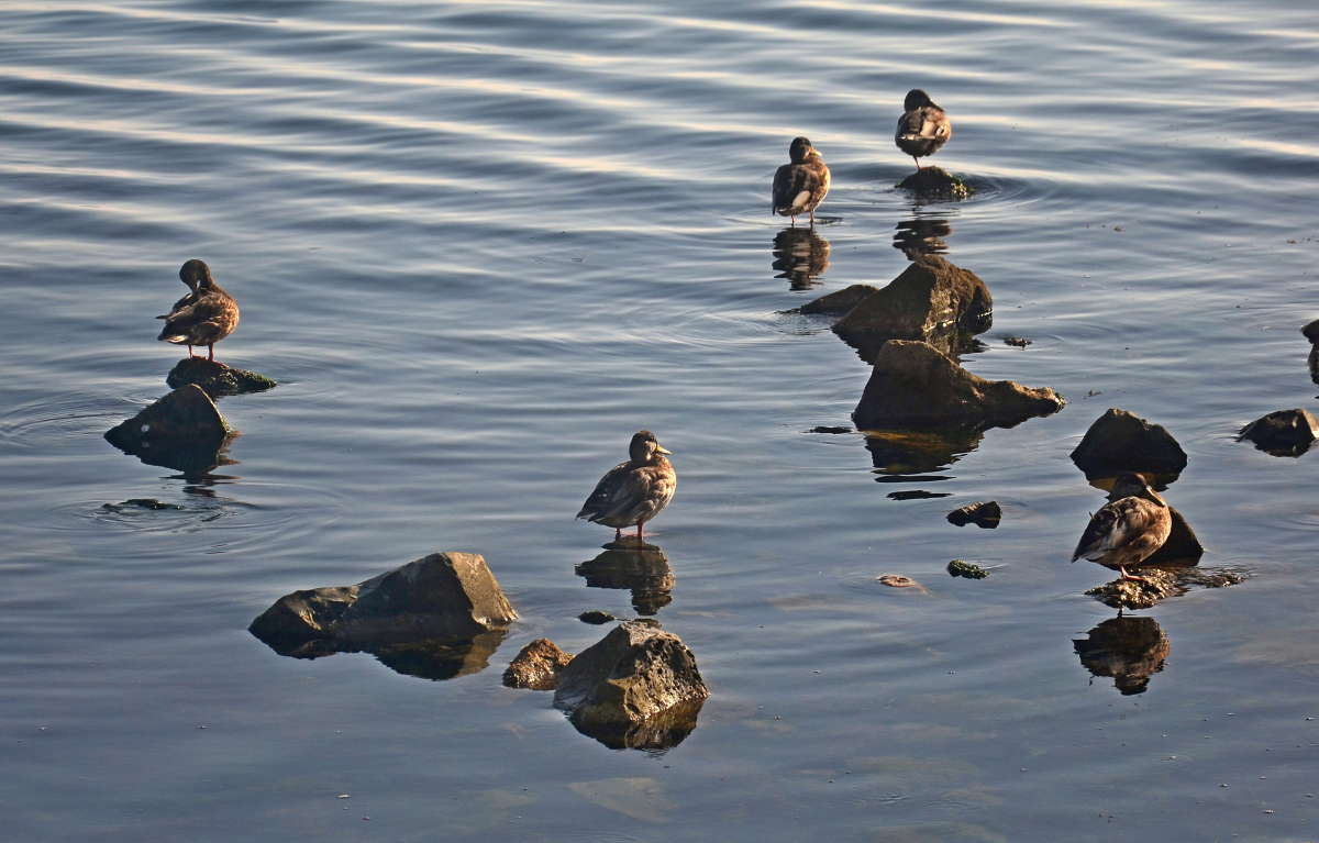 �������� ������� ����� ����  �� PhotoGeek.ru #�������� ��� #����� ��� ��� ���������