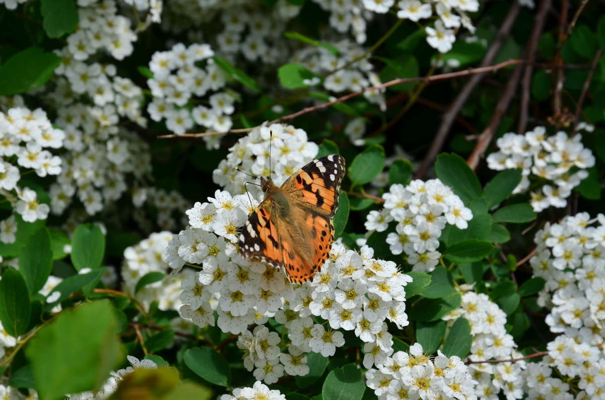 *** ����� ����  �� PhotoGeek.ru #����� #�������� ��� #������ ��� ������� #���������