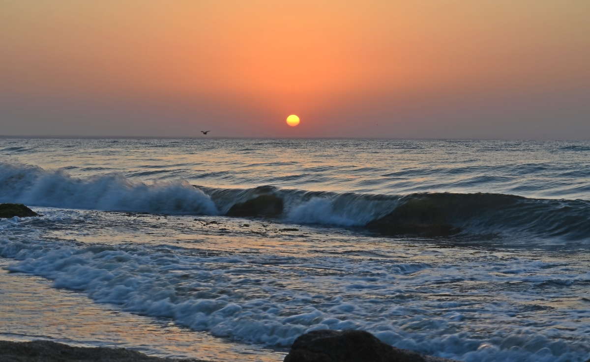 *** ����� ����  �� PhotoGeek.ru #������ ��� �������