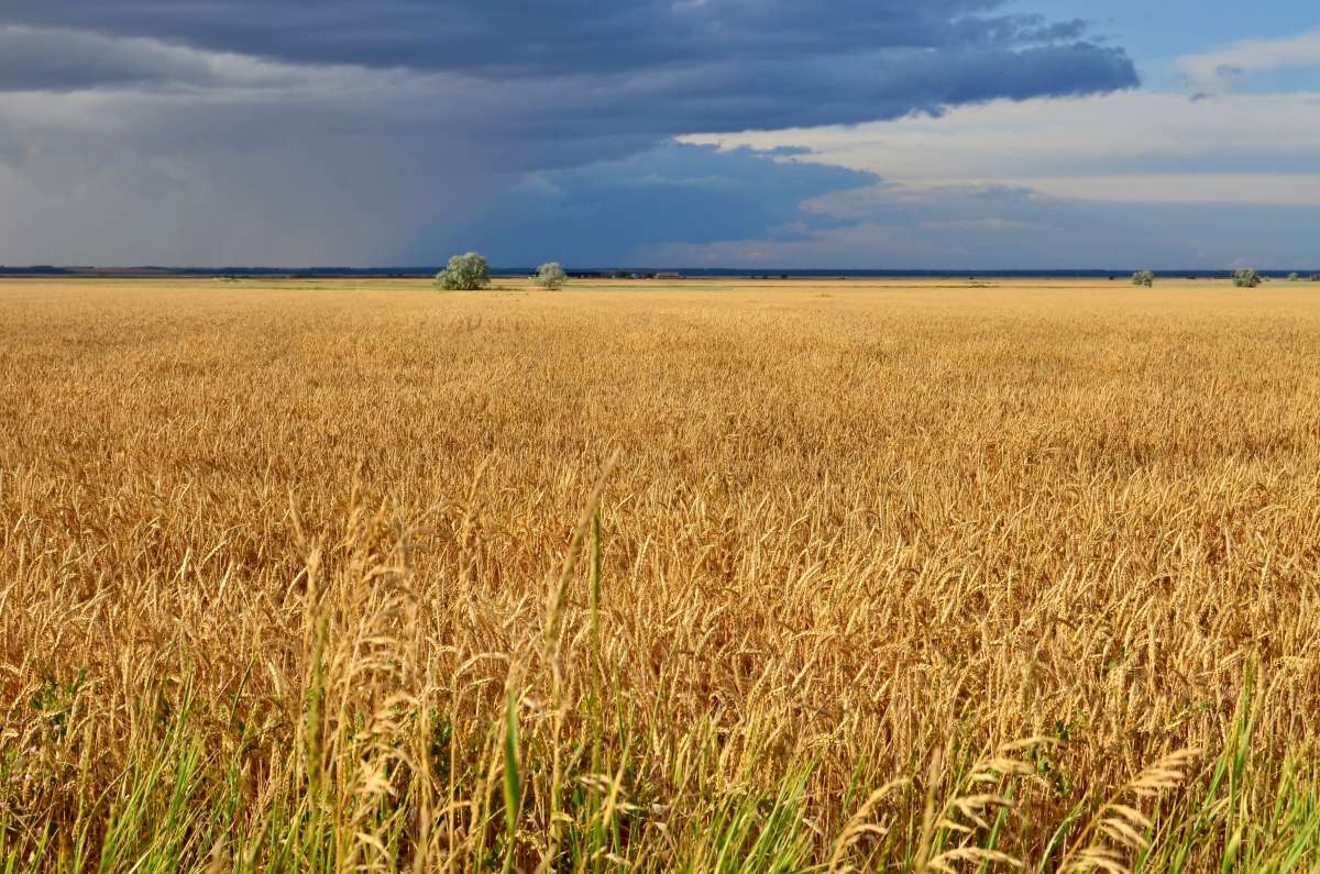 ������� ���� ����� ����  �� PhotoGeek.ru #������ ��� �������