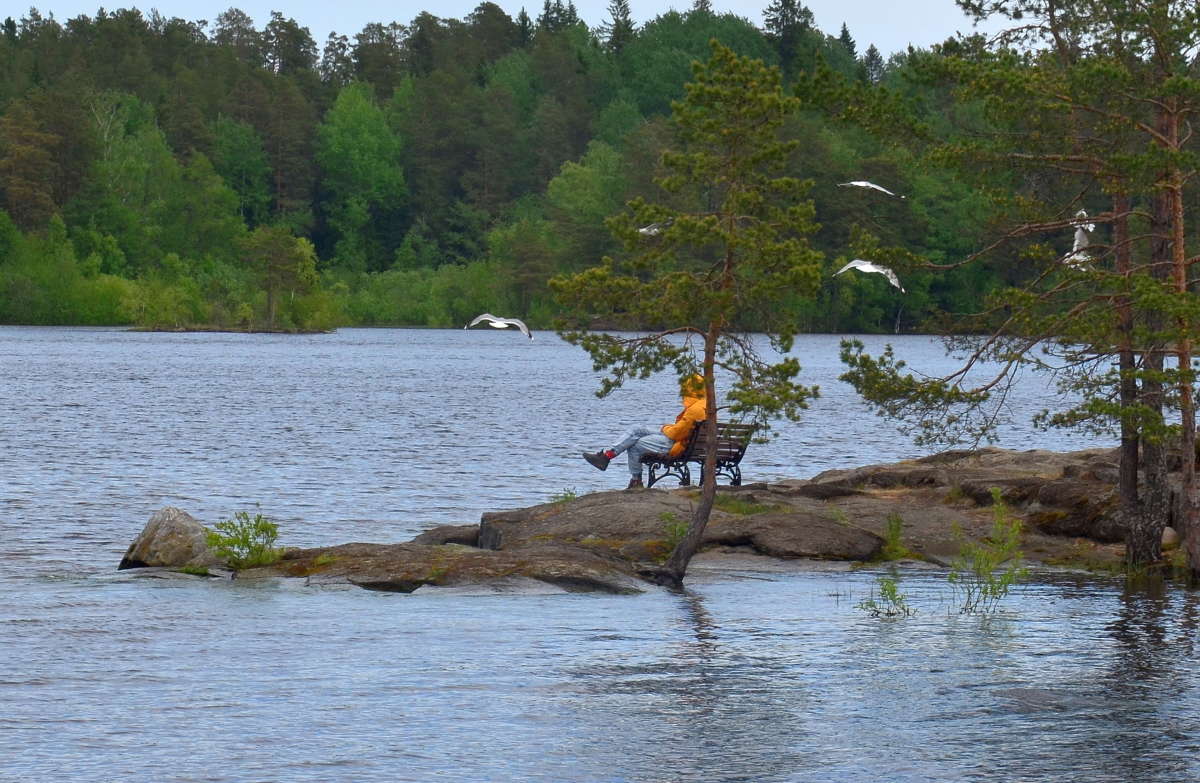 � ������� � ����� ����� ����  �� PhotoGeek.ru #�������� ����������