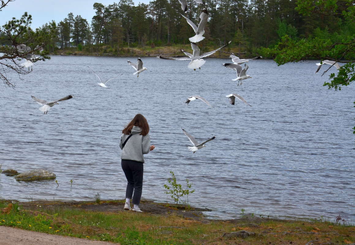 ������� ����� ����� ����  �� PhotoGeek.ru #�������� ����������