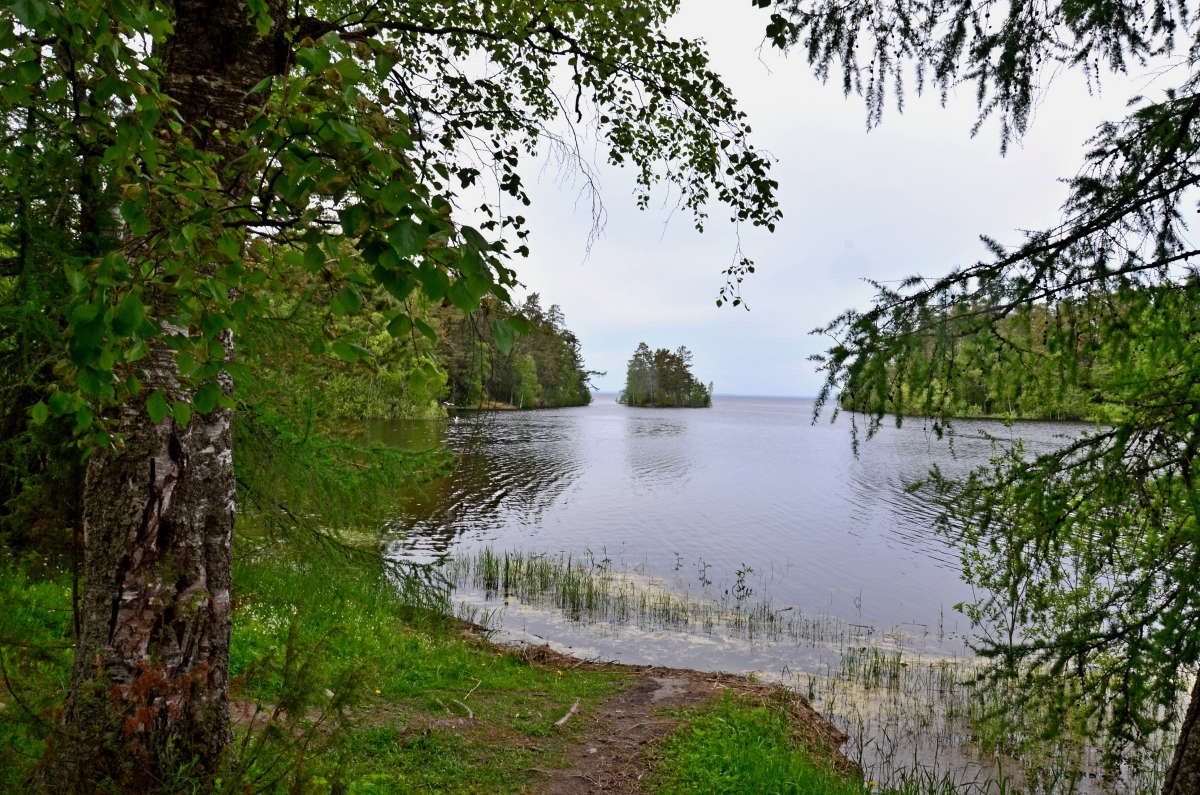 �� ������� ������ ����� ����  �� PhotoGeek.ru #������ ��� �������