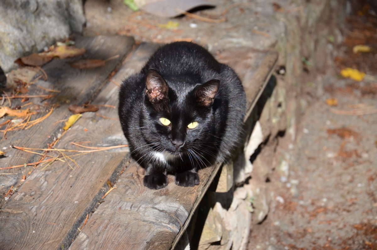 *** ����� ����  �� PhotoGeek.ru #�������� ��� #�������� ���