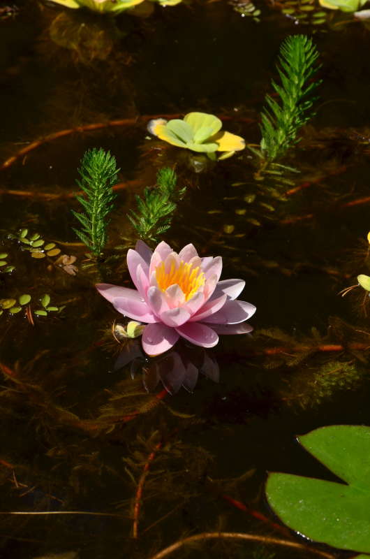 *** ����� ����  �� PhotoGeek.ru #������ ��� ������� #����� �������������� #���������