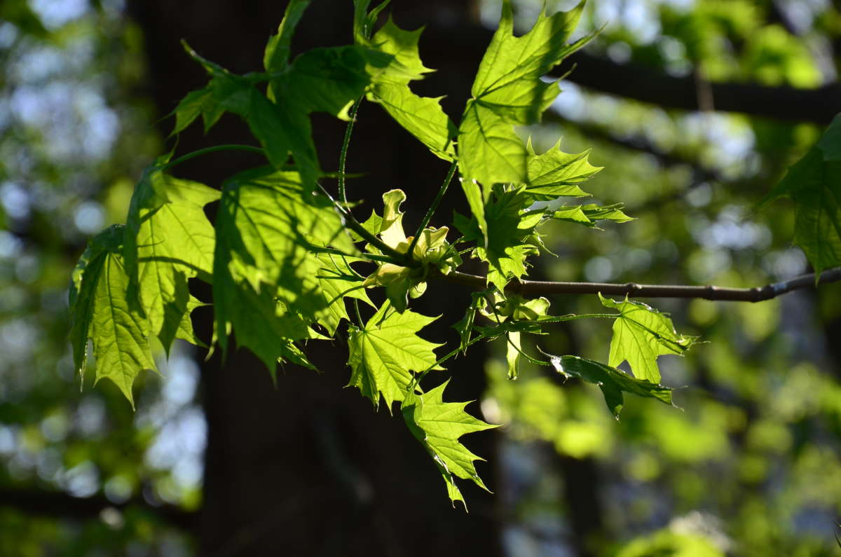 ������������ ����� ����  �� PhotoGeek.ru #������ ��� ������� #����� �������������� #���������