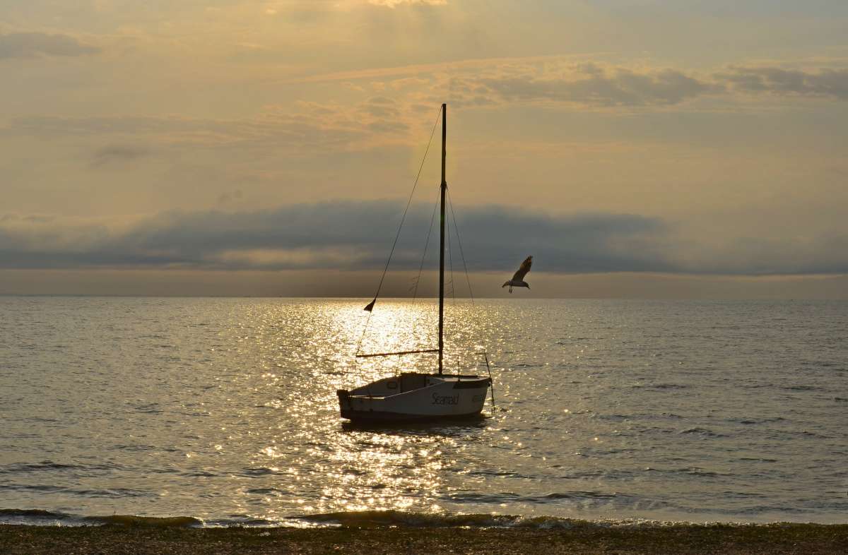 *** ����� ����  �� PhotoGeek.ru #������ ��� ������� #���������