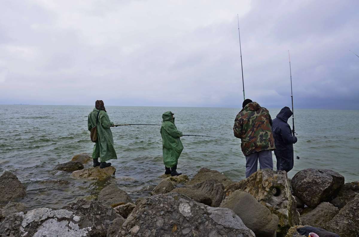 �������� ����� ����  �� PhotoGeek.ru #�������� ����������