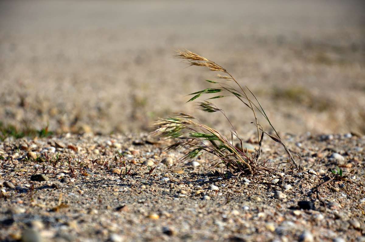 ������������� ����� ����� ����  �� PhotoGeek.ru #������ ��� ������� #����� �������������� #���������