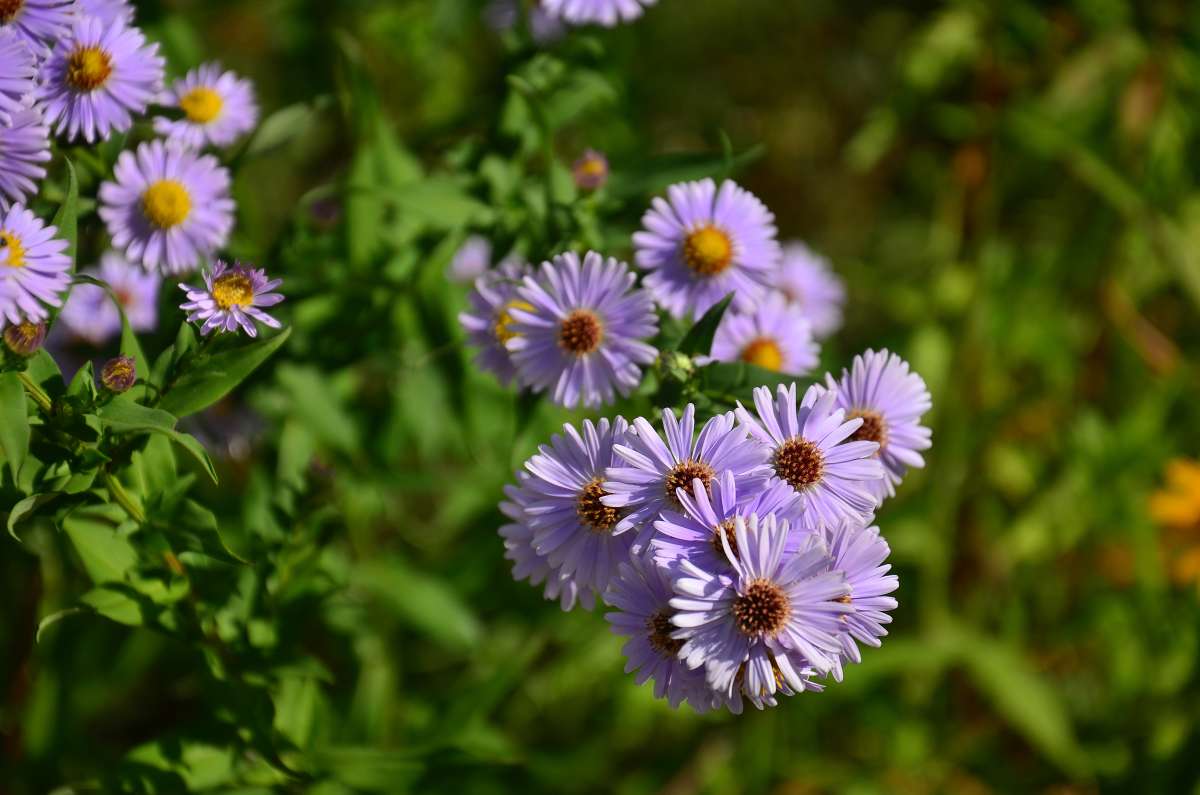 *** ����� ����  �� PhotoGeek.ru #������ ��� ������� #����� �������������� #���������