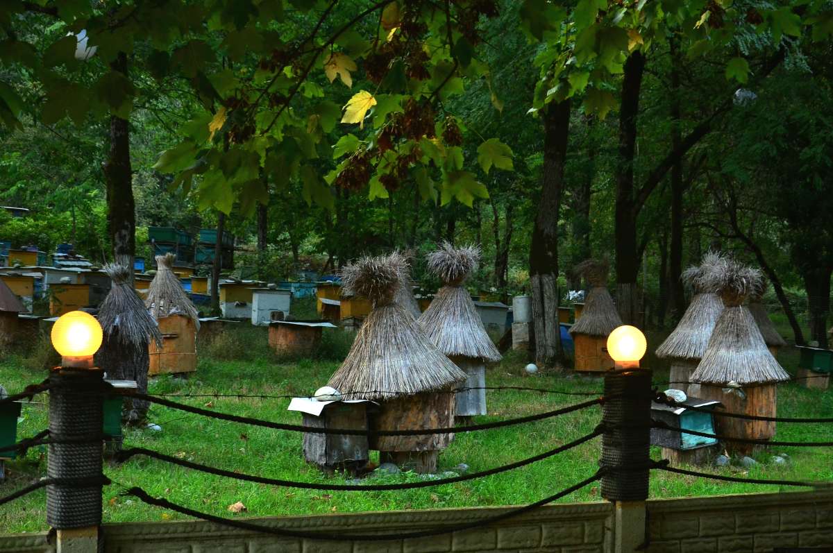 ��� ����� �������� ����� ����  �� PhotoGeek.ru #������ #�������� ����������