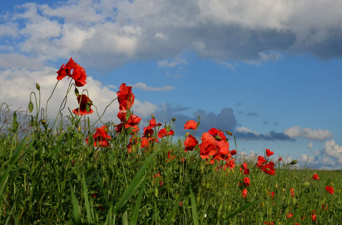 ����, ���� - ������� ���� ����� ����  �� PhotoGeek.ru #������ ��� ������� #����� �������������� #���������